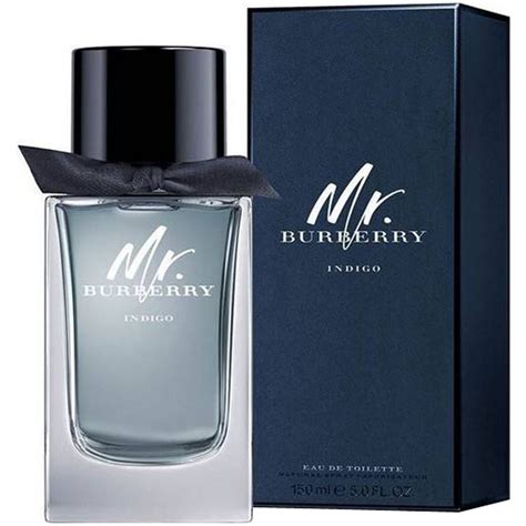 burberry indigo 100ml|Burberry mr Burberry indigo.